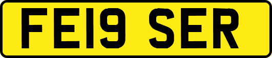 FE19SER