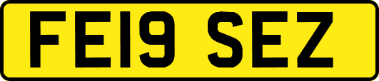 FE19SEZ