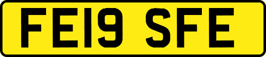 FE19SFE