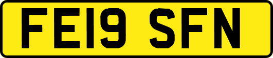 FE19SFN
