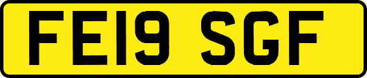 FE19SGF
