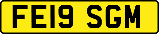 FE19SGM