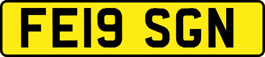 FE19SGN