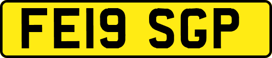 FE19SGP