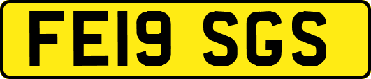 FE19SGS