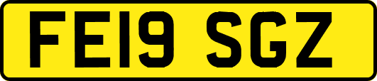 FE19SGZ