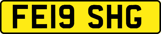 FE19SHG