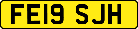 FE19SJH