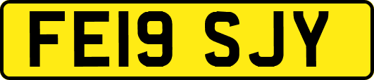 FE19SJY