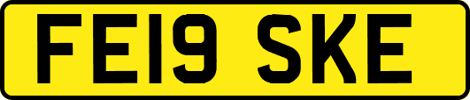 FE19SKE