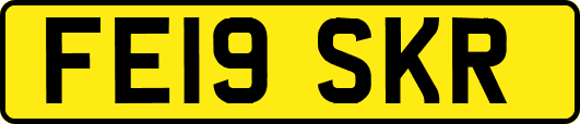 FE19SKR
