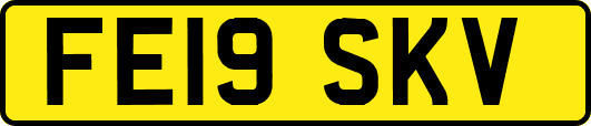 FE19SKV