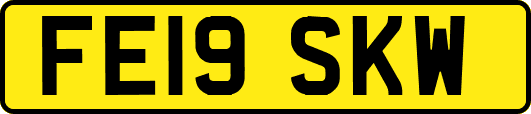 FE19SKW
