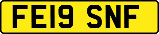 FE19SNF