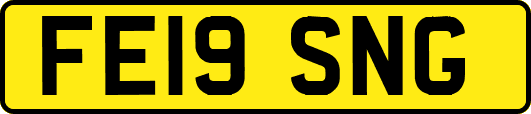 FE19SNG