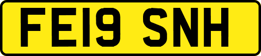 FE19SNH