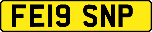 FE19SNP
