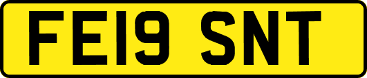 FE19SNT