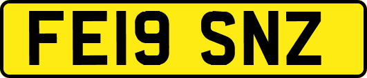 FE19SNZ