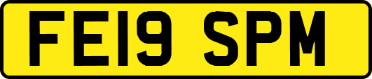 FE19SPM