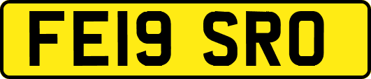 FE19SRO
