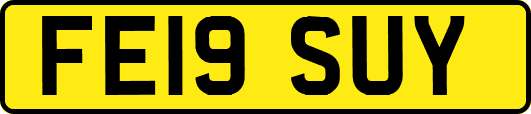 FE19SUY