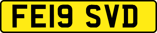 FE19SVD