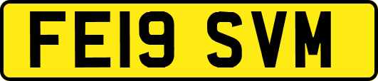 FE19SVM