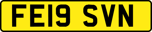 FE19SVN