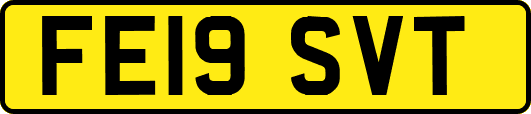 FE19SVT