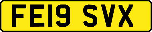 FE19SVX