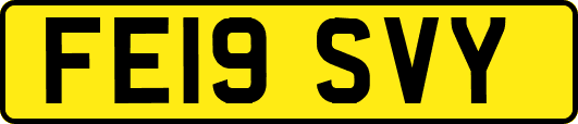 FE19SVY