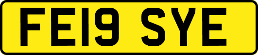 FE19SYE
