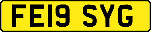 FE19SYG