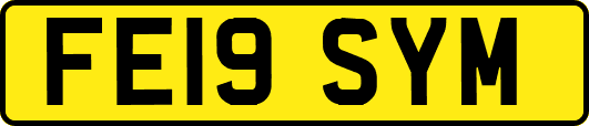 FE19SYM
