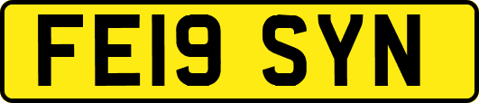 FE19SYN