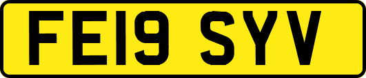 FE19SYV