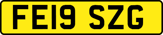FE19SZG