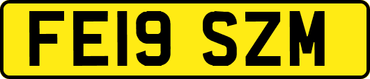 FE19SZM