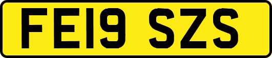 FE19SZS