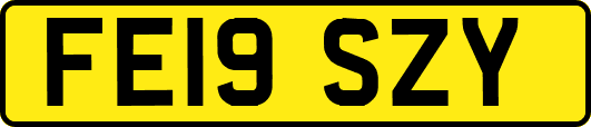 FE19SZY