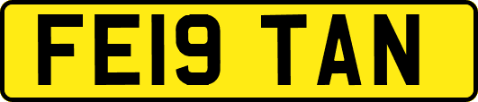 FE19TAN