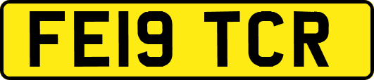 FE19TCR