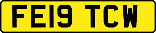 FE19TCW