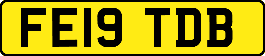 FE19TDB
