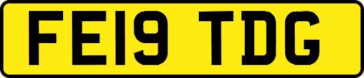 FE19TDG