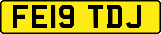 FE19TDJ