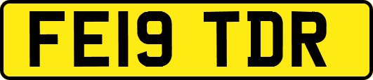 FE19TDR