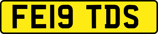 FE19TDS