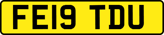 FE19TDU
